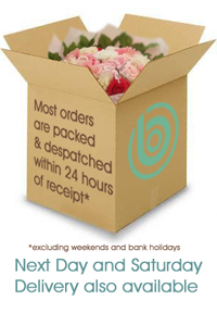 bump_delivery_final1 (2)